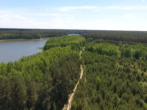 Flying over the forest road above the forest Stock Footage 70349071