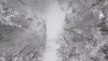 Flying over forest road during winter Stock Footage 85716080