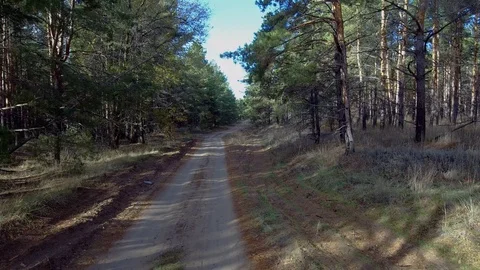 Flying over the forest road Stock Footage 99651605