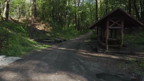 Flying over the forest road. Stock Footage 131367797