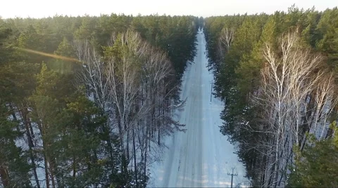 Flying over the forest road. winter Stock Footage 60762763