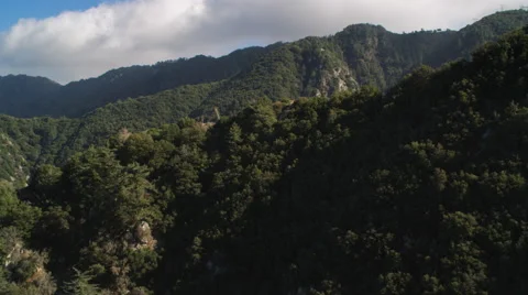 Flying over forest in the San Gabriel Mountains, California. Shot in 2010. Stock Footage 59114112