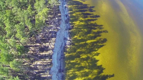 Flying over the forest on the shore. View down. Video stock 49164143