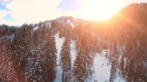 Flying over forest. snow winter landscape. trees woods. sunset sky dusk Stock-Footage 34570105