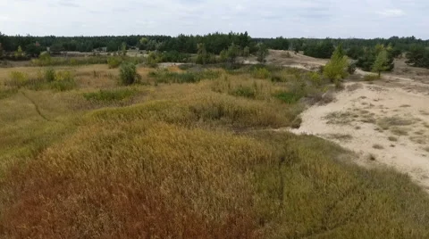 Flying over the forest-steppe 스톡 동영상 68611796