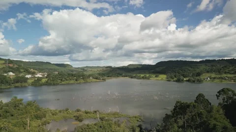 Flying over forest submerged by river dam. Canoas river. Stock Footage 253367465