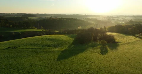 Flying over the forest on a sunny spring morning Stock Footage 334057159