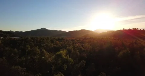 Flying over a forest at sunrise 動画素材 83535465