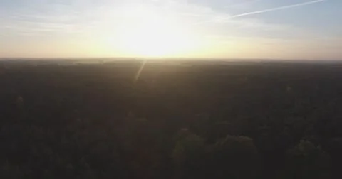 Flying over forest, with sunset Video stock 56749737