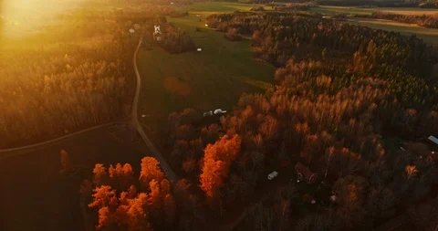 Flying over forest in sunset Stock Footage 108566516