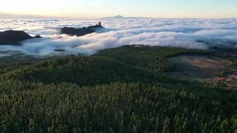 Flying over the forest at sunset towards Roque Nublo Video stock 121531260