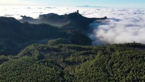 Flying over the forest towards Roque Nublo Video stock 121531381