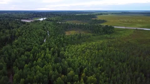 Flying over the forest with the trail toward the road. Stock Footage 170062309