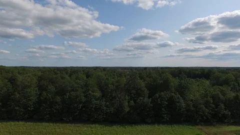 Flying Over Forest Tree Tops Low Angle View Aerial Stock Footage 88903400