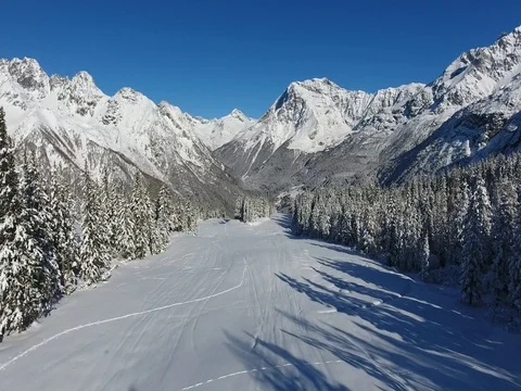 Flying over the forest - Trees covered with snow in winter season Stock Footage 75465209