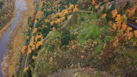Flying over forest where trees change leaf colors representing seasons change. Stock-Footage 118779979