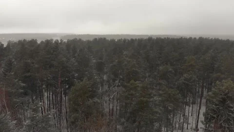 Flying over the forest in winter Vídeos de archivo 149088279