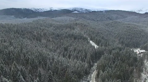 Flying over the forest in the winter in the mountains 04 Stock Footage 59122490