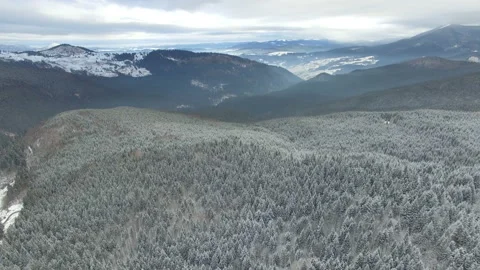 Flying over the forest in the winter in the mountains Stock Footage 59122882