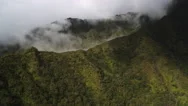 Flying Over Forested Ridgeline To Reveal Mist-Filled Narrow Canyon. Shot In Stock Footage