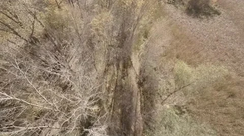 Flying over forest.mp4 Video stock 48332654