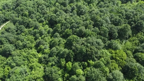 Flying over a forests and mountains in Europe Stock Footage 280845560