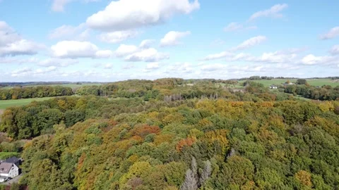 Flying over a Forrest 스톡 동영상 219260385