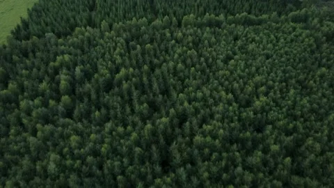 Flying over a forrested area Stock Footage 218309172
