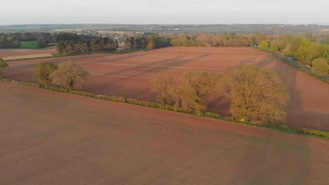 Flying over freshly planted fields in the Spring. Low evening sun 스톡 동영상 88869299