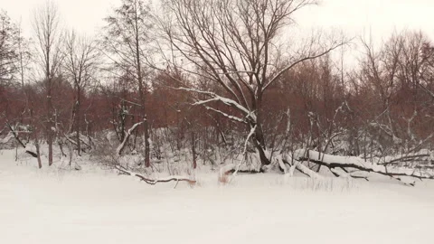 Flying over frozen river Stock Footage 146535992