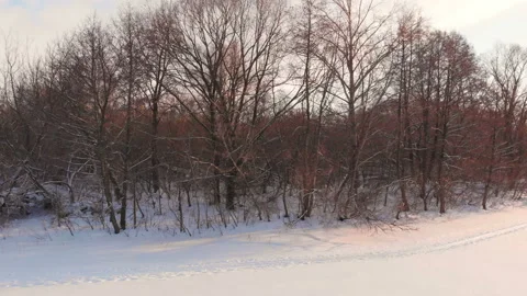 Flying over frozen river Stock Footage 146536356