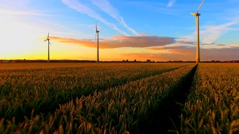 Flying over a grain field towards wind turbines at sunset, Aerial View Stock Footage 89713322