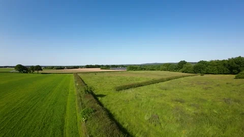 Flying over gras and hedges Video stock 247769646
