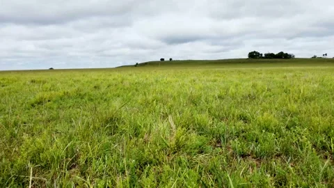 Flying over grass in an open field on a cloudy day Stock Footage 156411544