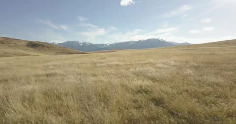 Flying over a Grassy Field with Mountains in the Background, Aerial Drone Shot Stock Footage 281768415