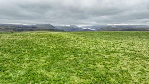Flying Over Grassy Fields in Iceland Stock Footage 313013653