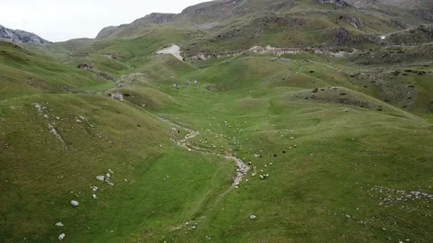 Flying over grazing sheep in Durmitor National Park in Montenegro Stock Footage 139575692