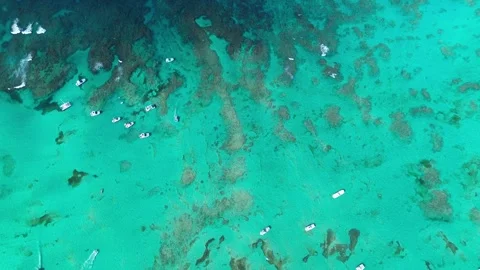 Flying over the great barrier reef in the whitsundays, Dominican Republic Video stock 267465841