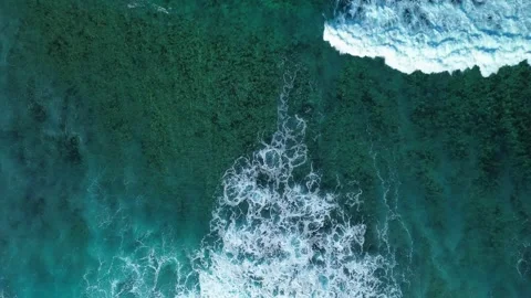 Flying over great barrier reef, giant waves Caribbean Sea. Dominican Republic Stock Footage 268852231