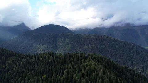 Flying over a green coniferous forest in the mountains, the weather is warm and 库存影片 256334849