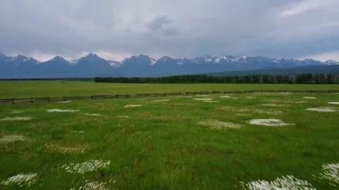 Flying over a green field on a drone without people near the mountains Stock Footage 159539155