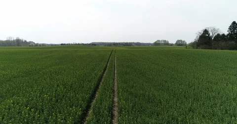 Flying over green field Stock Footage 106885907