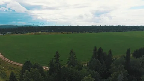 Flying over a green field Stock Footage 114348000