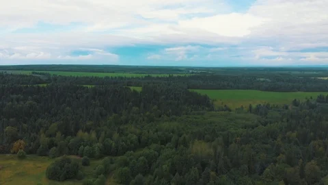 Flying over a green field Stock Footage 114348150