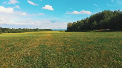 Flying over a green field Stock Footage 114348590