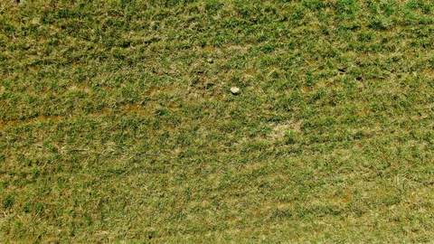 Flying over the green field. Stock Footage 129499457