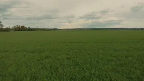 Flying over a green field Stock Footage 130636512