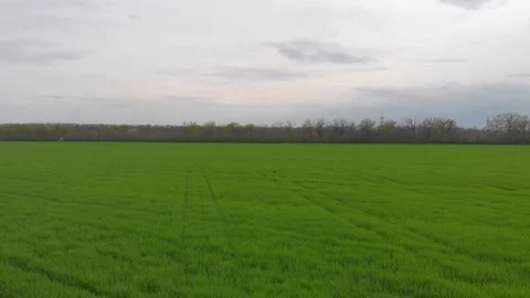 Flying Over Green Field Stock Footage 154154671