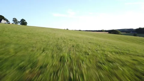 Flying over a green field 스톡 동영상 218309187