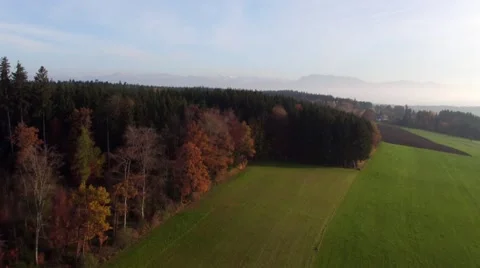 Flying over green field passing forest towards swiss alps 스톡 동영상 61462931